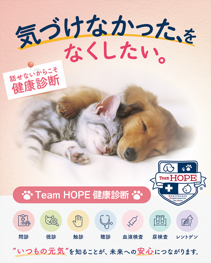 協賛パートナーの「Team HOPE」から健康診断のお知らせ。